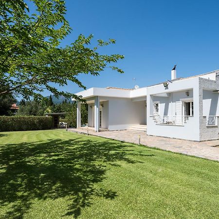 Villa Nefeli With Private Pool By Konnect Dasziá Kültér fotó